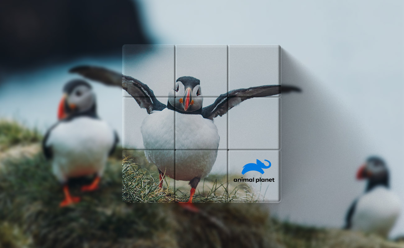 Blox - Personliga Magiska kuber gallery thumbnail