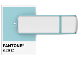 Pantone® Referenser USB-minne