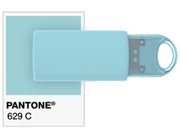 Pantone® Referenser USB-minne