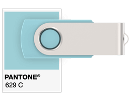 Pantone® Referenser USB-minne
